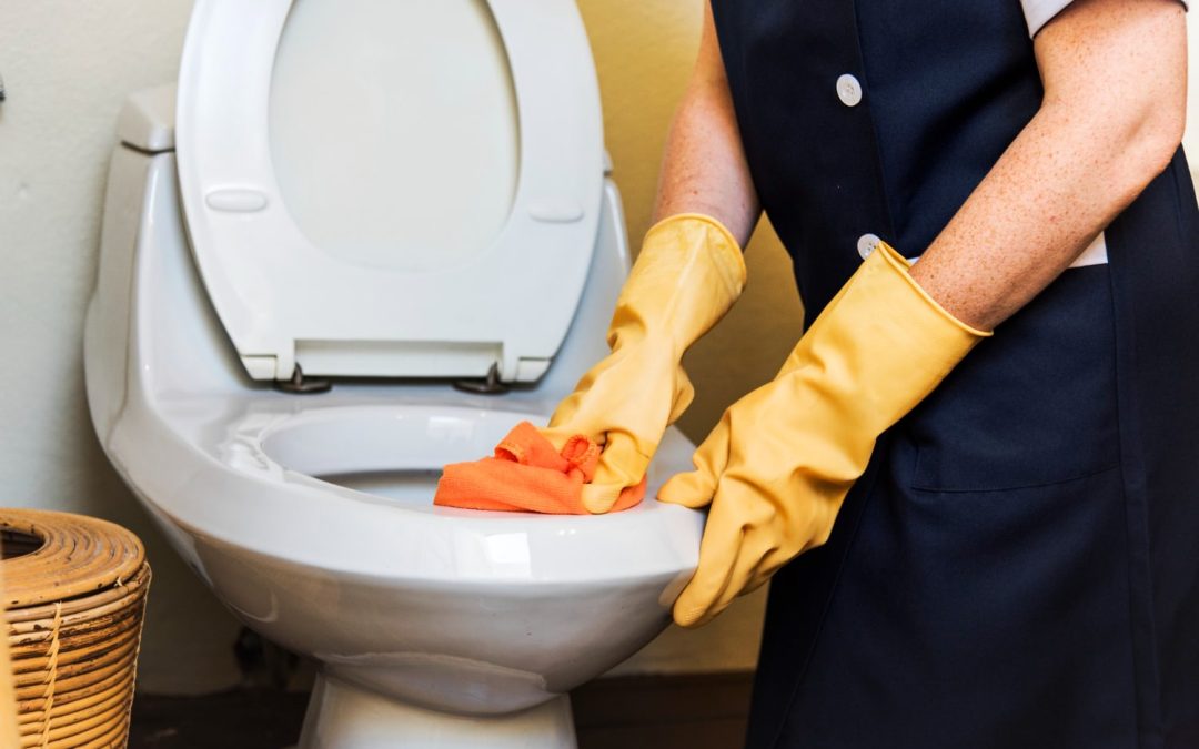 Comment nettoyer vos WC ?